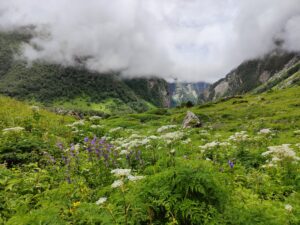 oppo_0