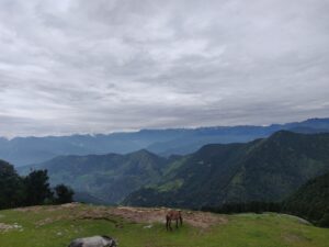 View From the Trail