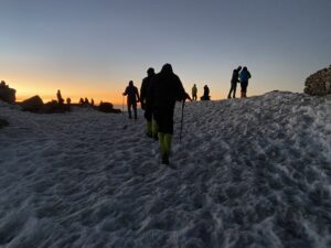 IMG_6230